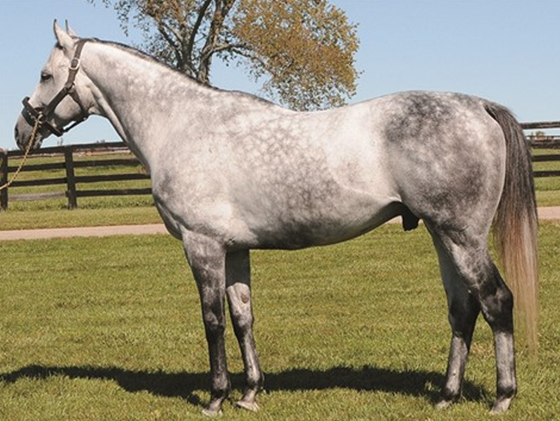 Unbridled Victory wins Indiana Stallion Fillies Stakes